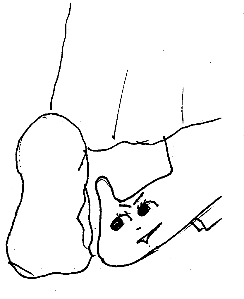 shoe