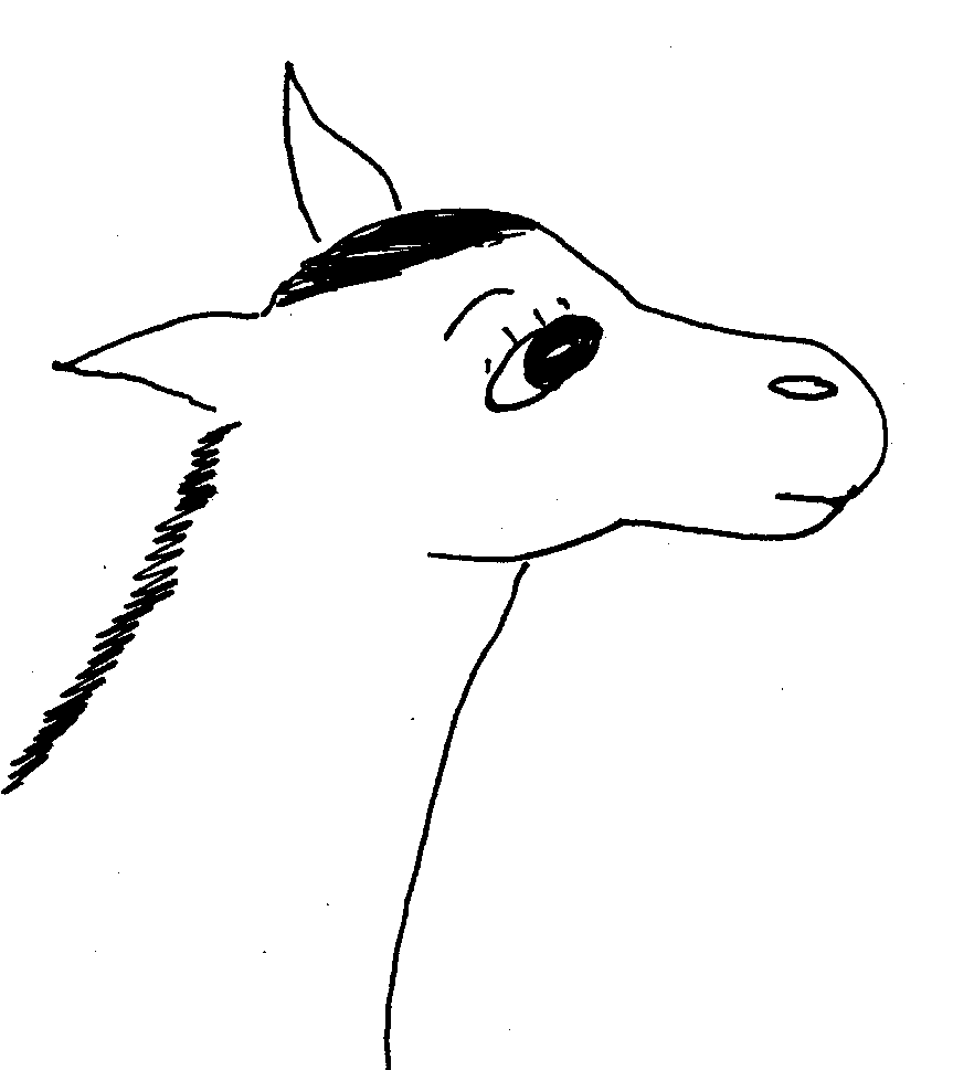 donkey