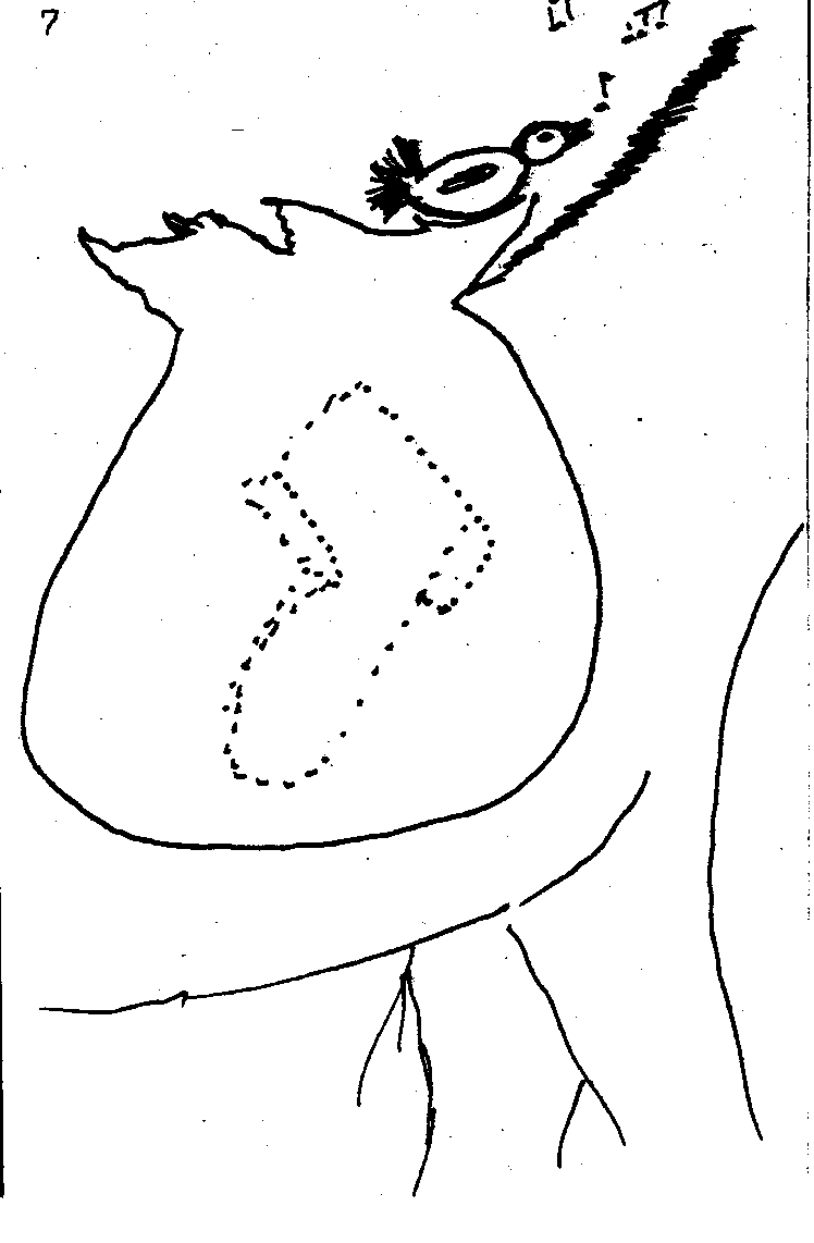 bag